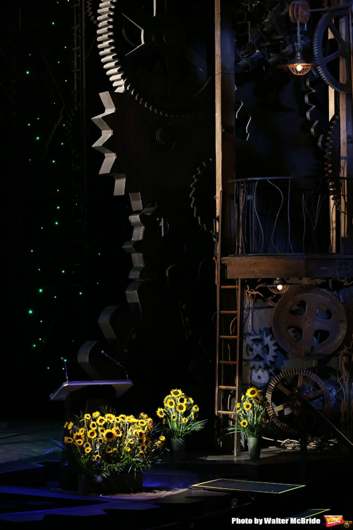 Photo Coverage: Family, Friends, and the Broadway Community Celebrates the Life of Marin Mazzie  Image