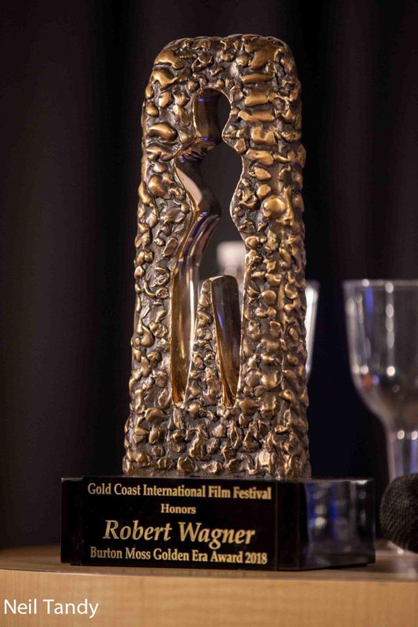 Photo Coverage: Film & Television Legend Robert Wagner Honored at Gold Coast Arts Center/FIlm Festival Gala Photo Coverage: Film & Television Legend Robert Wagner Honored at Gold Coast Arts Center/FIlm Festival Gala Image