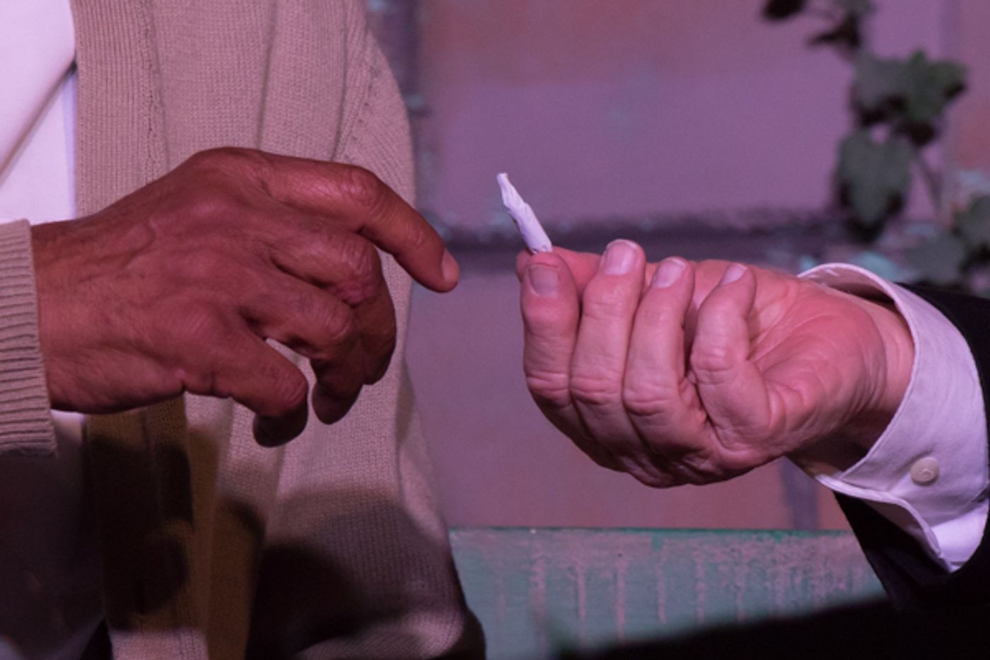 Photo Coverage: First look at Bruce Jacklin & Co's I'M NOT RAPPAPORT  Image