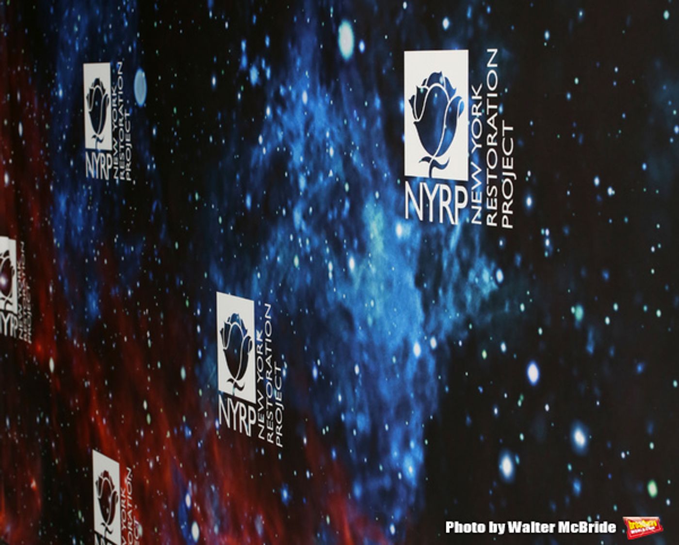 Photo Coverage: Inside Bette Midler's Annual HULAWEEN - 'In the Cosmos'  Image