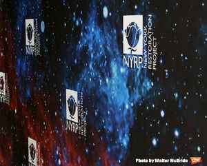 Bette Midler's New York Restoration Project hosts the 22nd Annual Hulaween Event "Hulaween in the Cosmos" at St. John the Divine on October 29, 2018 in New York City. @ BroadwayWorld Bette Midler's New York Restoration Project hosts the 22nd Annual Hulaween Event "Hul Photo