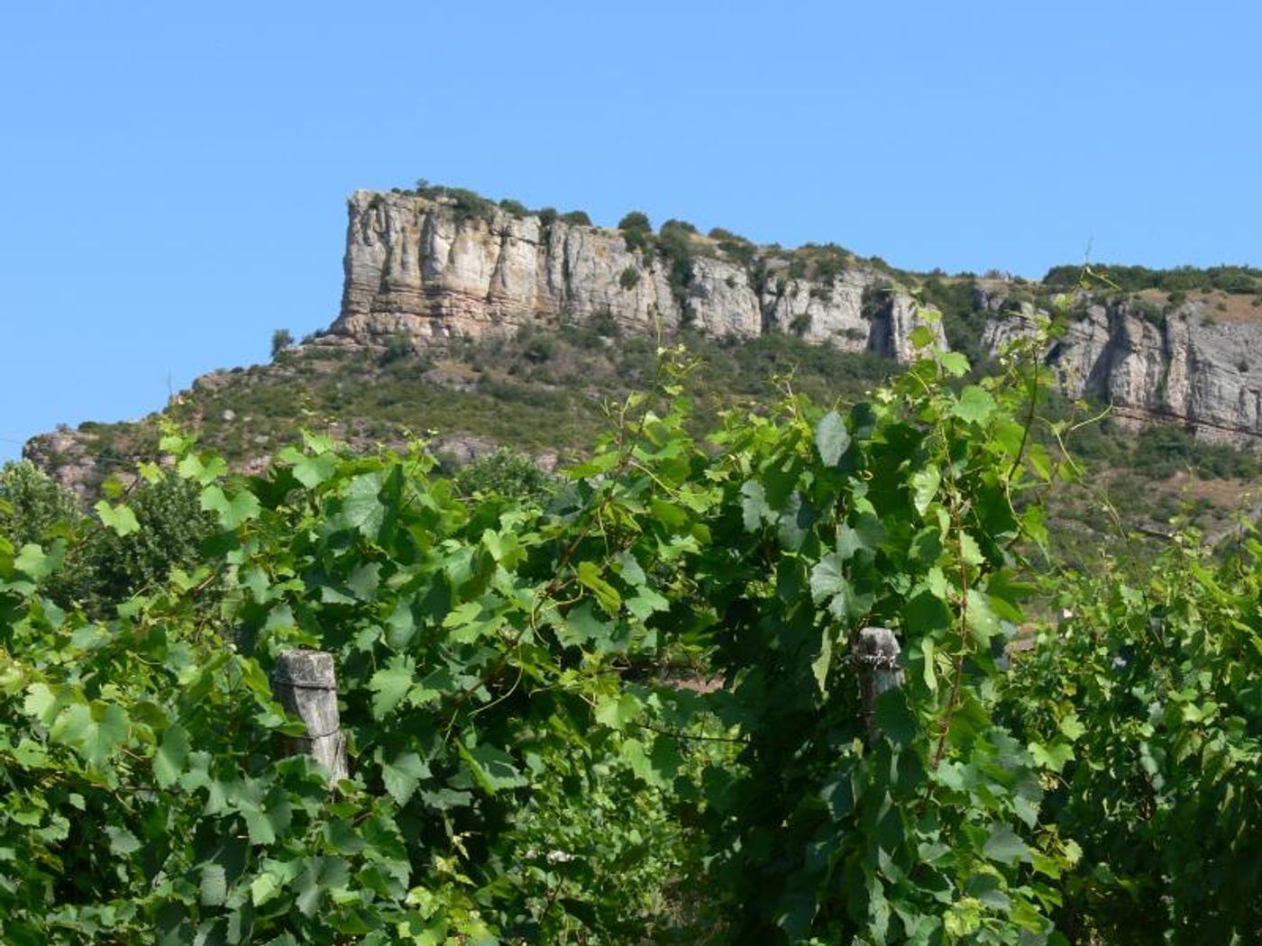 GEORGES DUBOEUF BEAUJOLAIS NOUVEAU 2018 Debuts on 11/15  Image