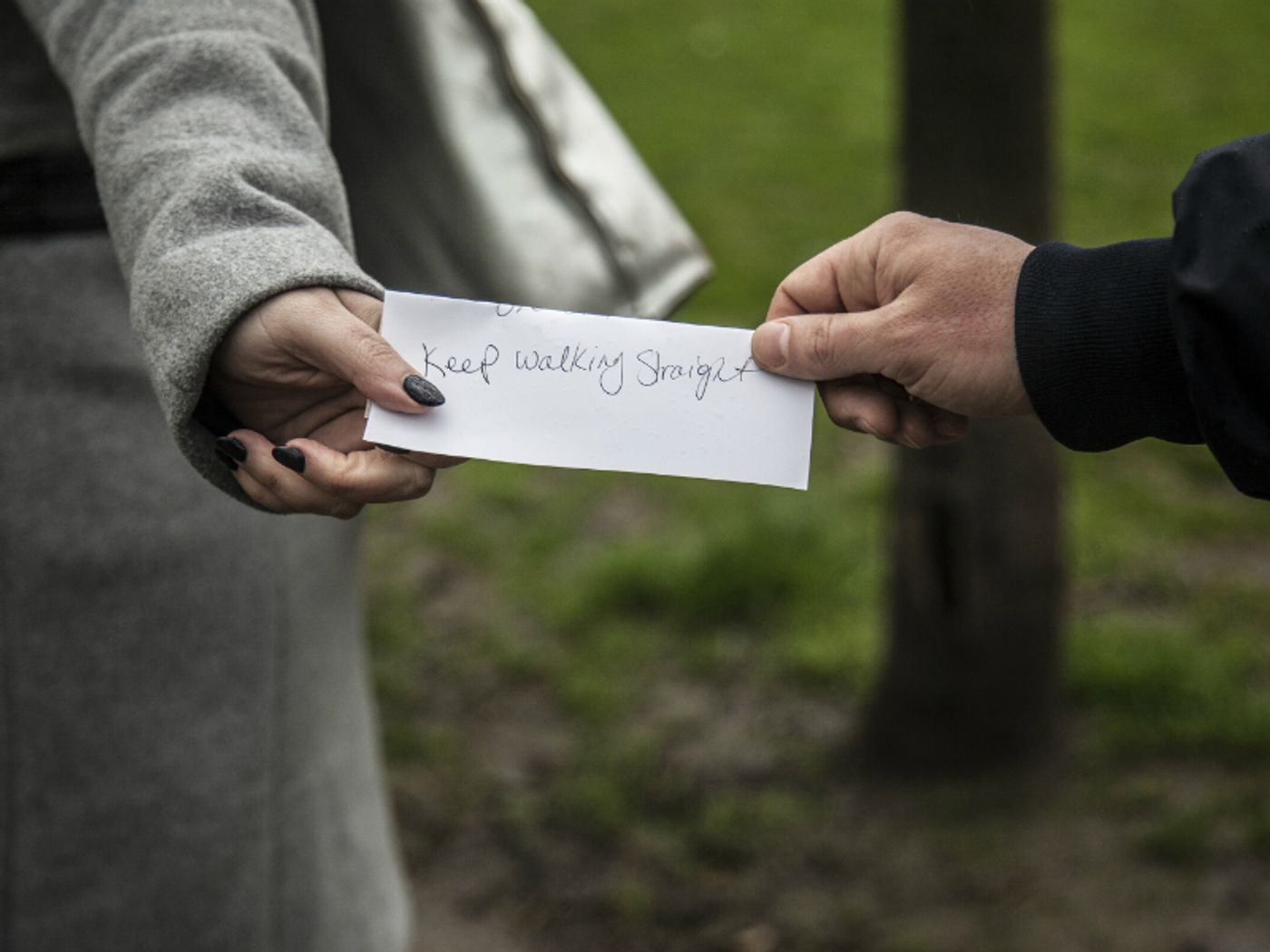 Guest Blog: Daniele Bartolini On THE CURIOUS VOYAGE  Image