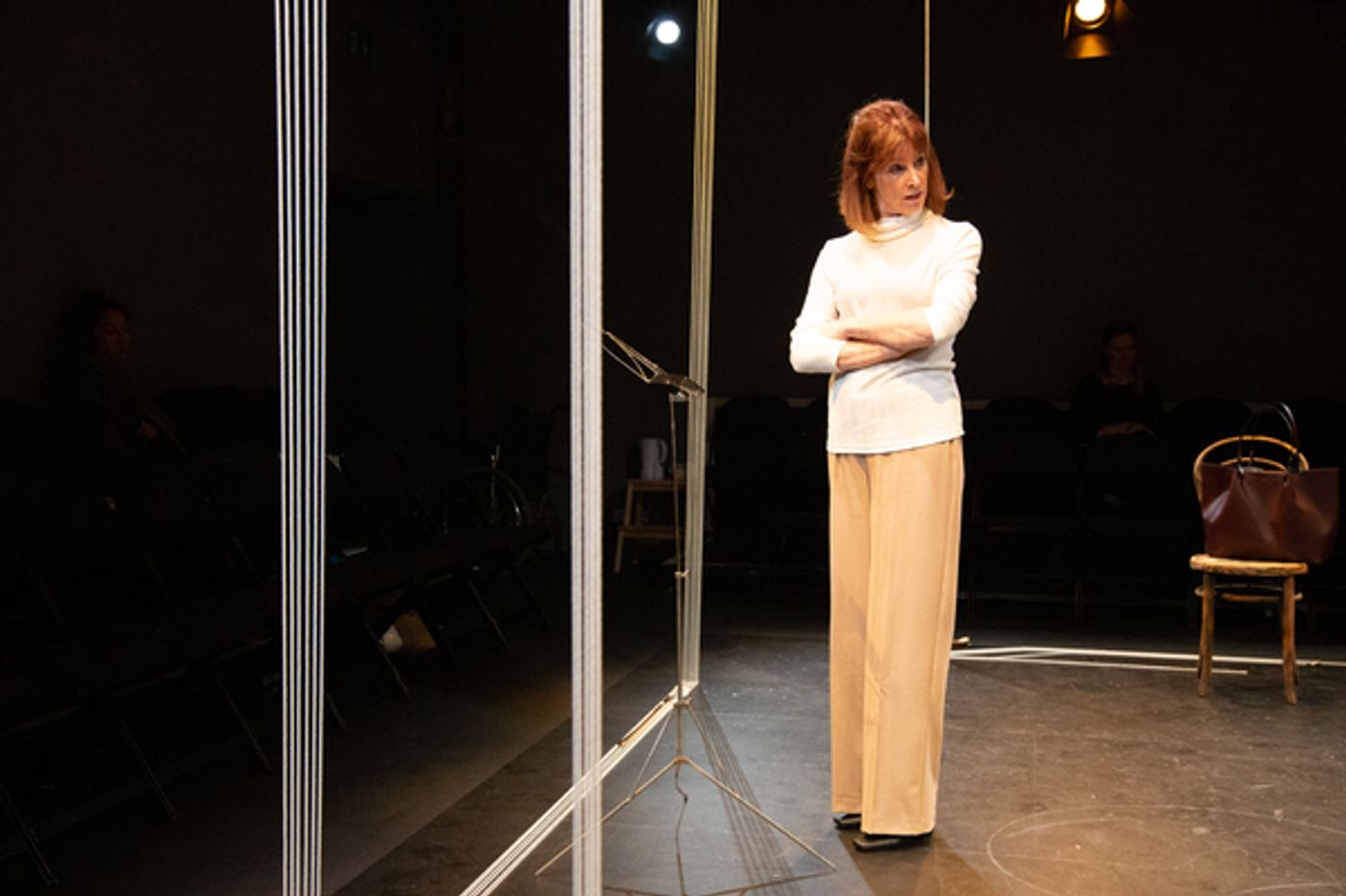 Photo Flash: First Look at A PUPIL at Park Theatre  Image