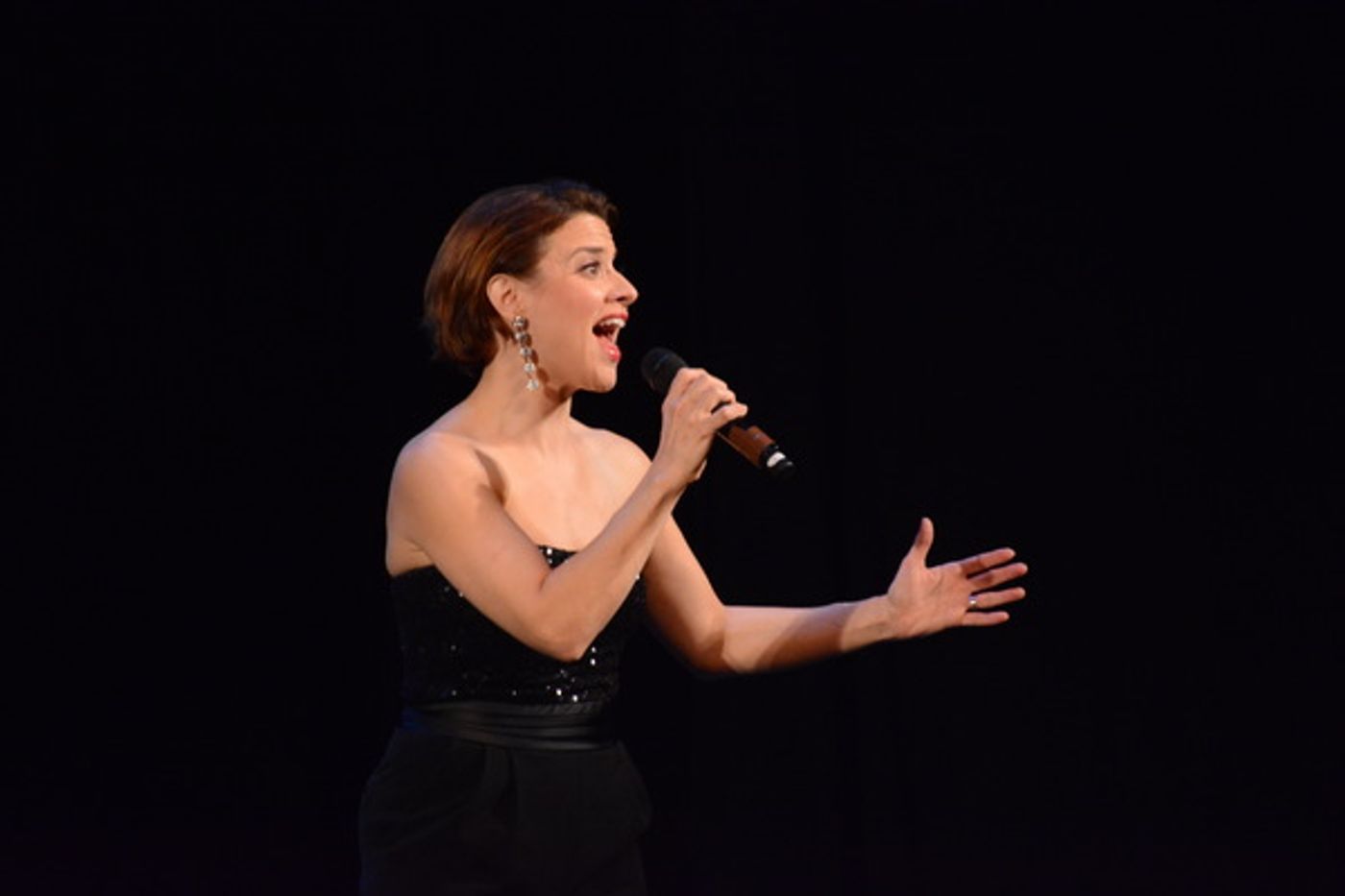 Photo Coverage: The Schimmel Center Presents SALON SONGBOOK  Image