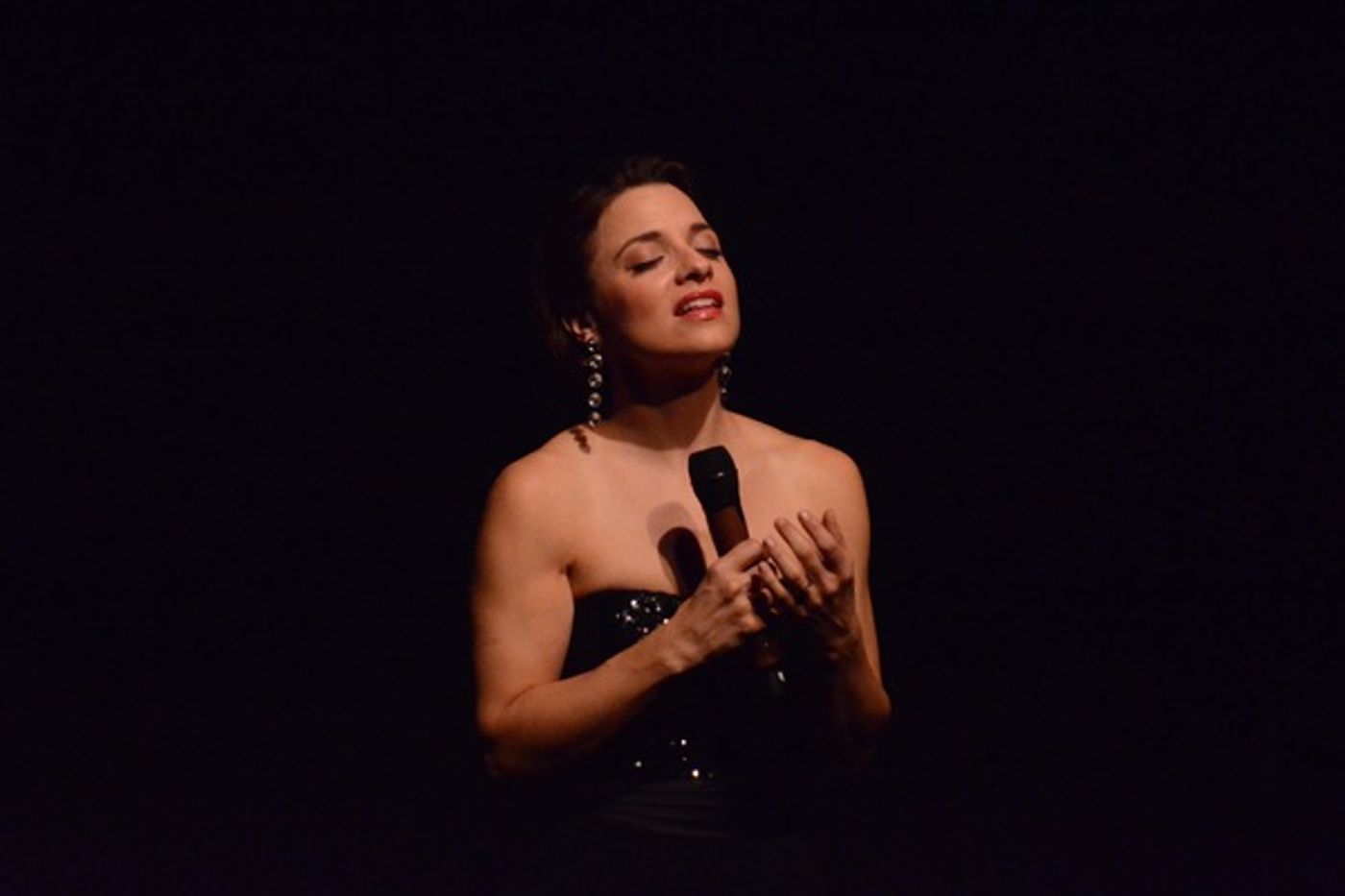 Photo Coverage: The Schimmel Center Presents SALON SONGBOOK  Image