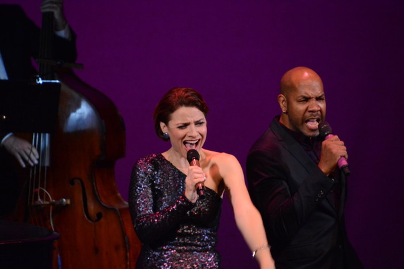 Photo Coverage: The Schimmel Center Presents SALON SONGBOOK  Image