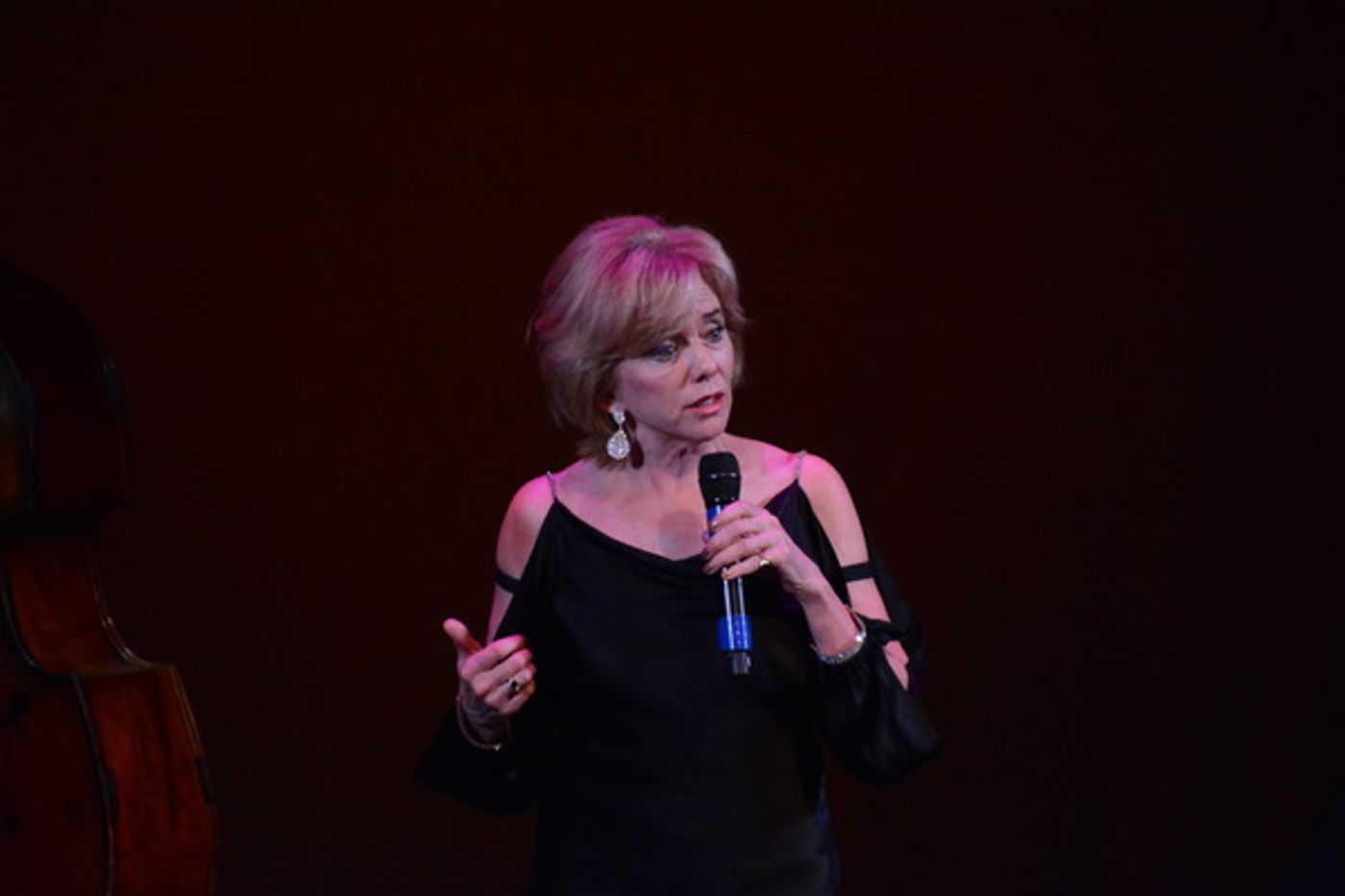 Photo Coverage: The Schimmel Center Presents SALON SONGBOOK  Image