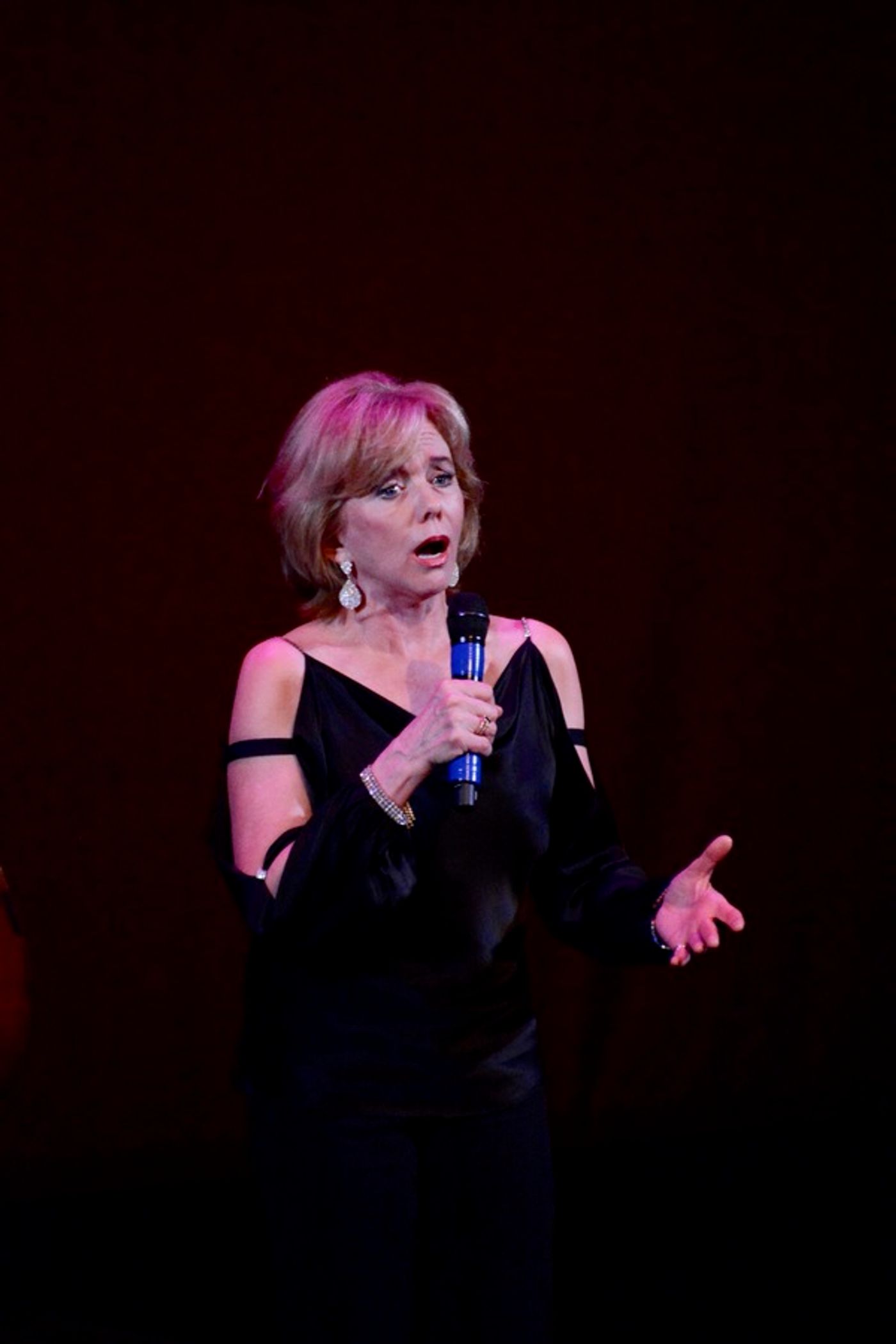 Photo Coverage: The Schimmel Center Presents SALON SONGBOOK  Image