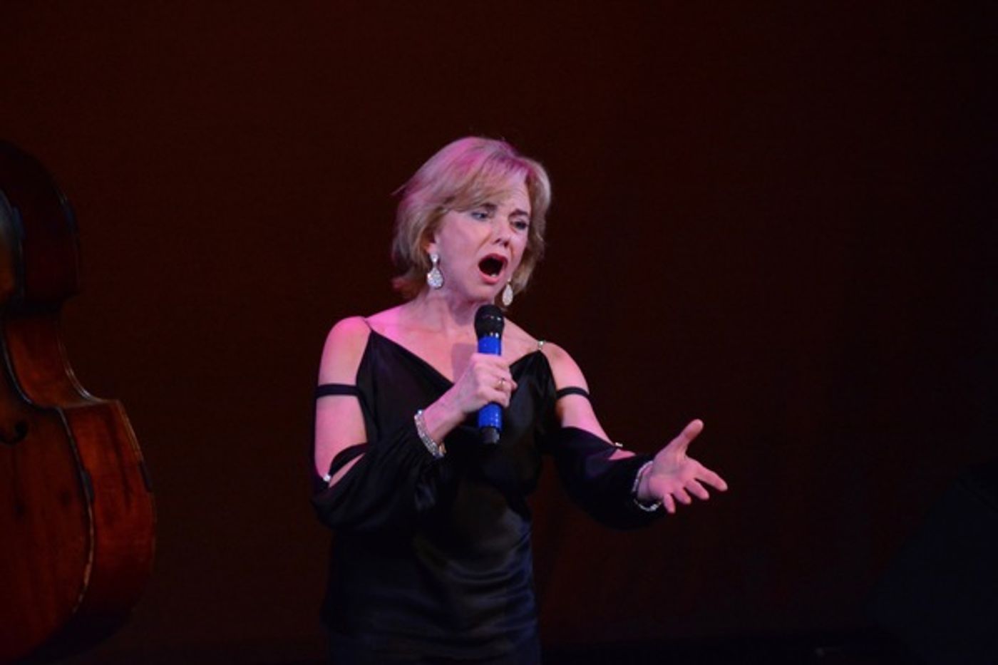 Photo Coverage: The Schimmel Center Presents SALON SONGBOOK  Image