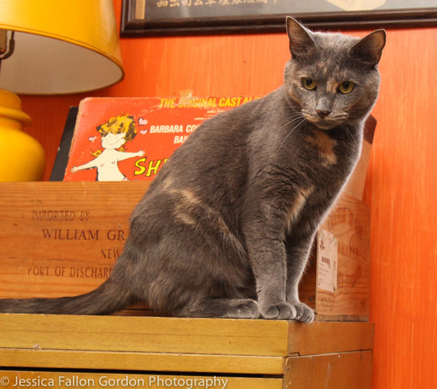 Tails of Broadway: Greg Hildreth Curls Up with Pigeon and Basil!  Image