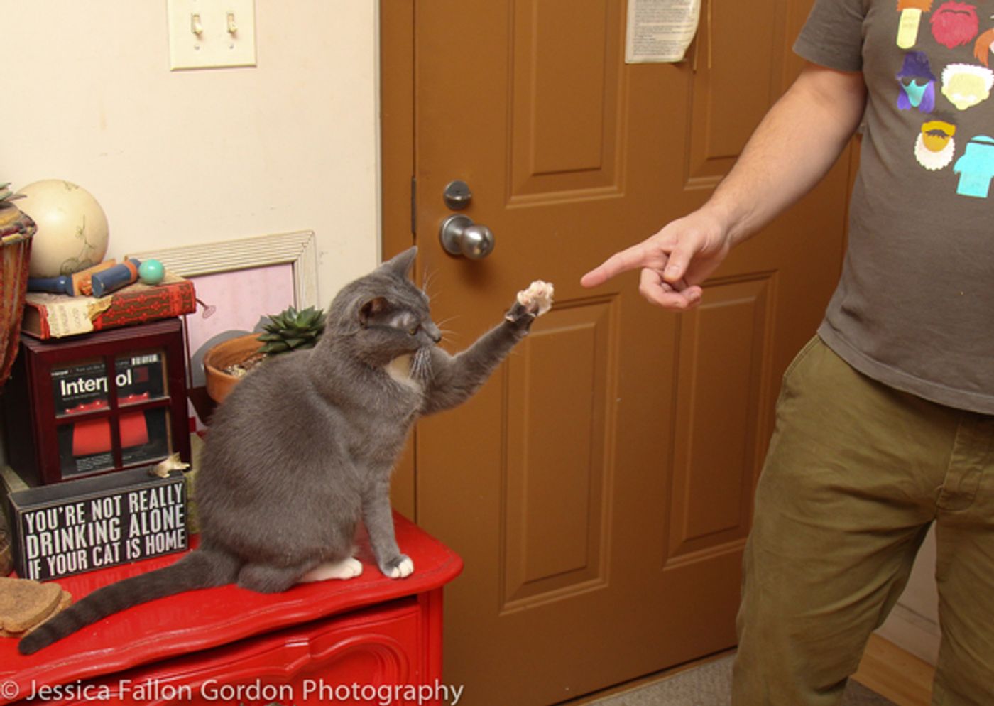 Tails of Broadway: Greg Hildreth Curls Up with Pigeon and Basil!  Image