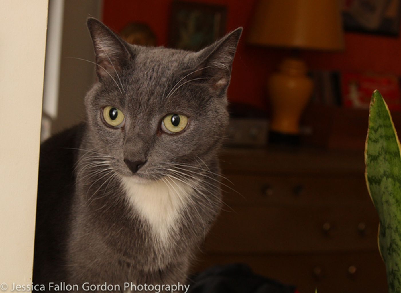 Tails of Broadway: Greg Hildreth Curls Up with Pigeon and Basil!  Image