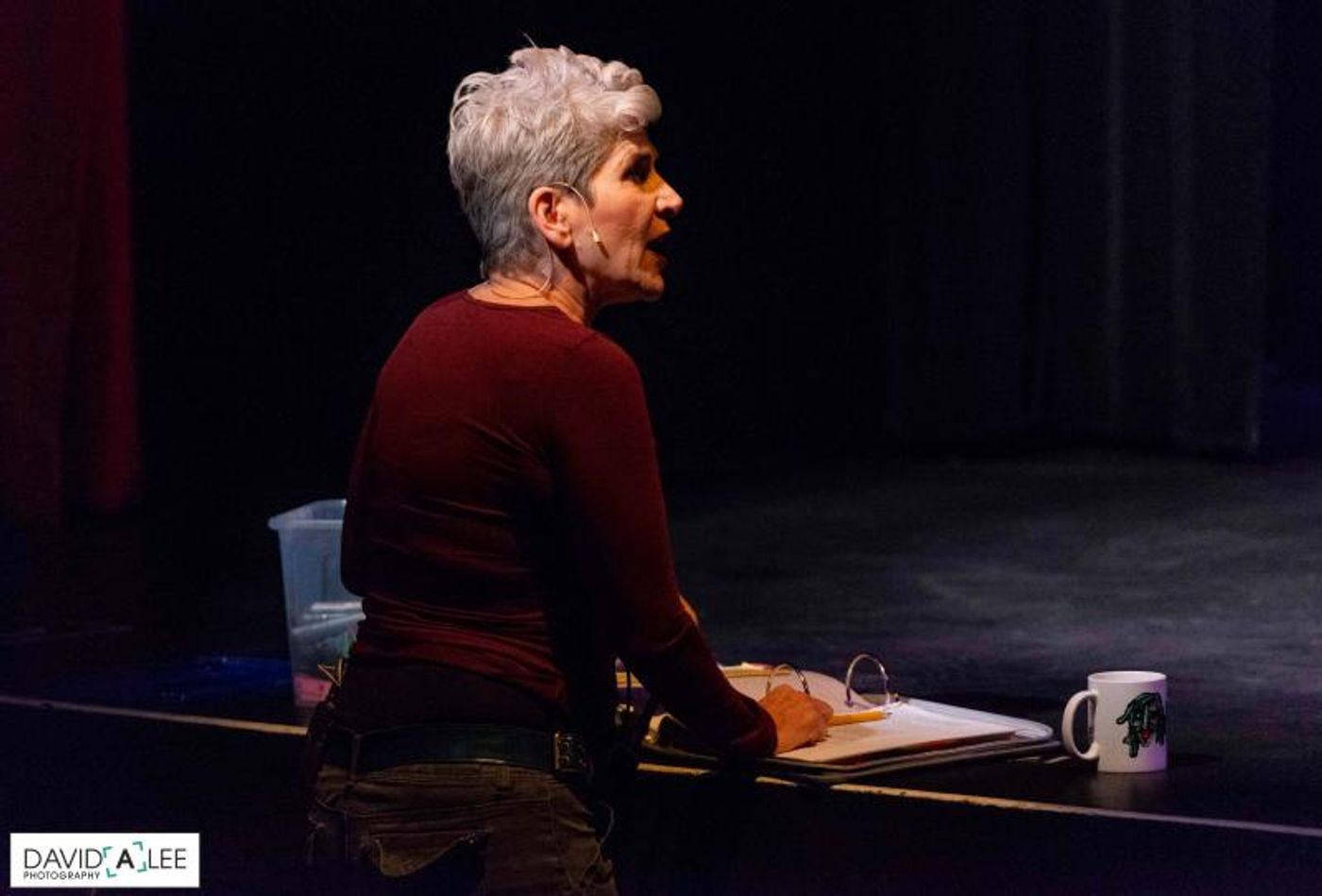 Review: Coyote StageWorks' THE UNDERSTUDY at The Annenberg Theater Brings All The Laughs  Image