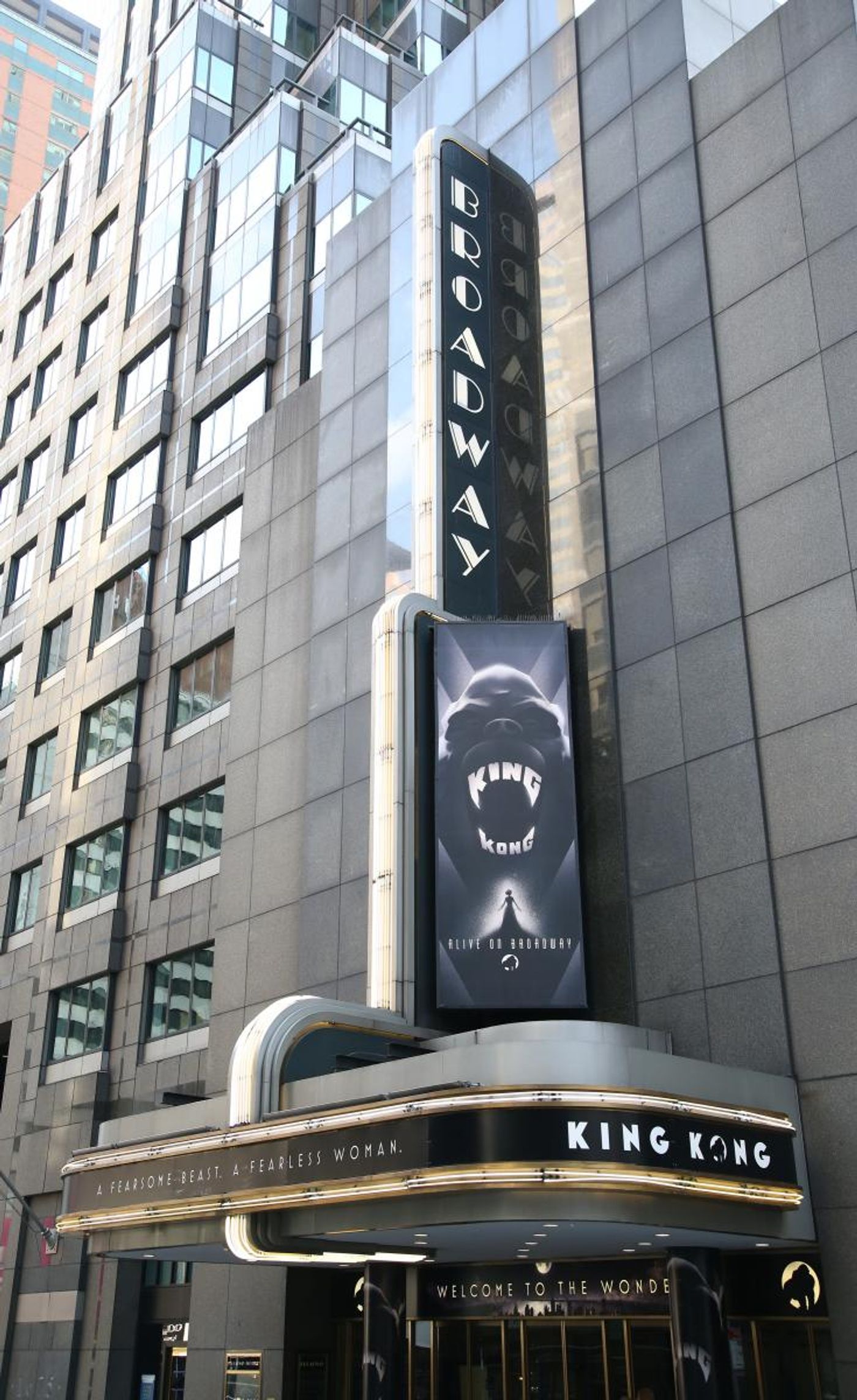 TV: Watch the Stars Walk the Opening Night Red Carpet for KING KONG!  Image