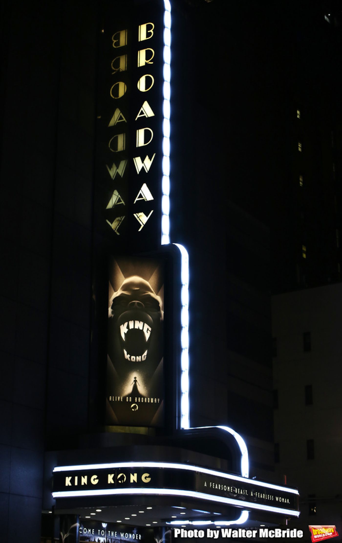 Photo Coverage: The Cast of KING KONG Takes Their Opening Night Bows  Image