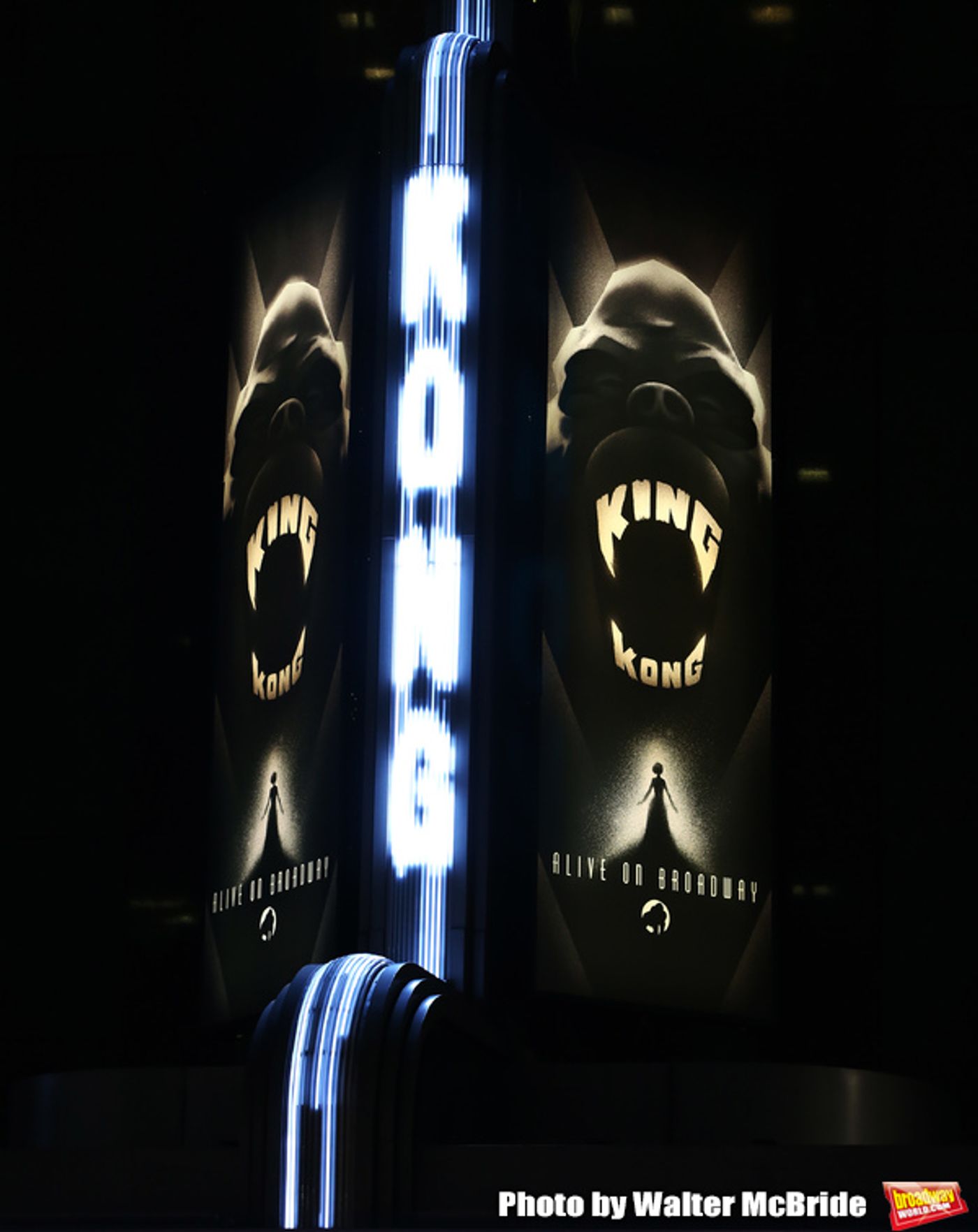 Photo Coverage: The Cast of KING KONG Takes Their Opening Night Bows  Image