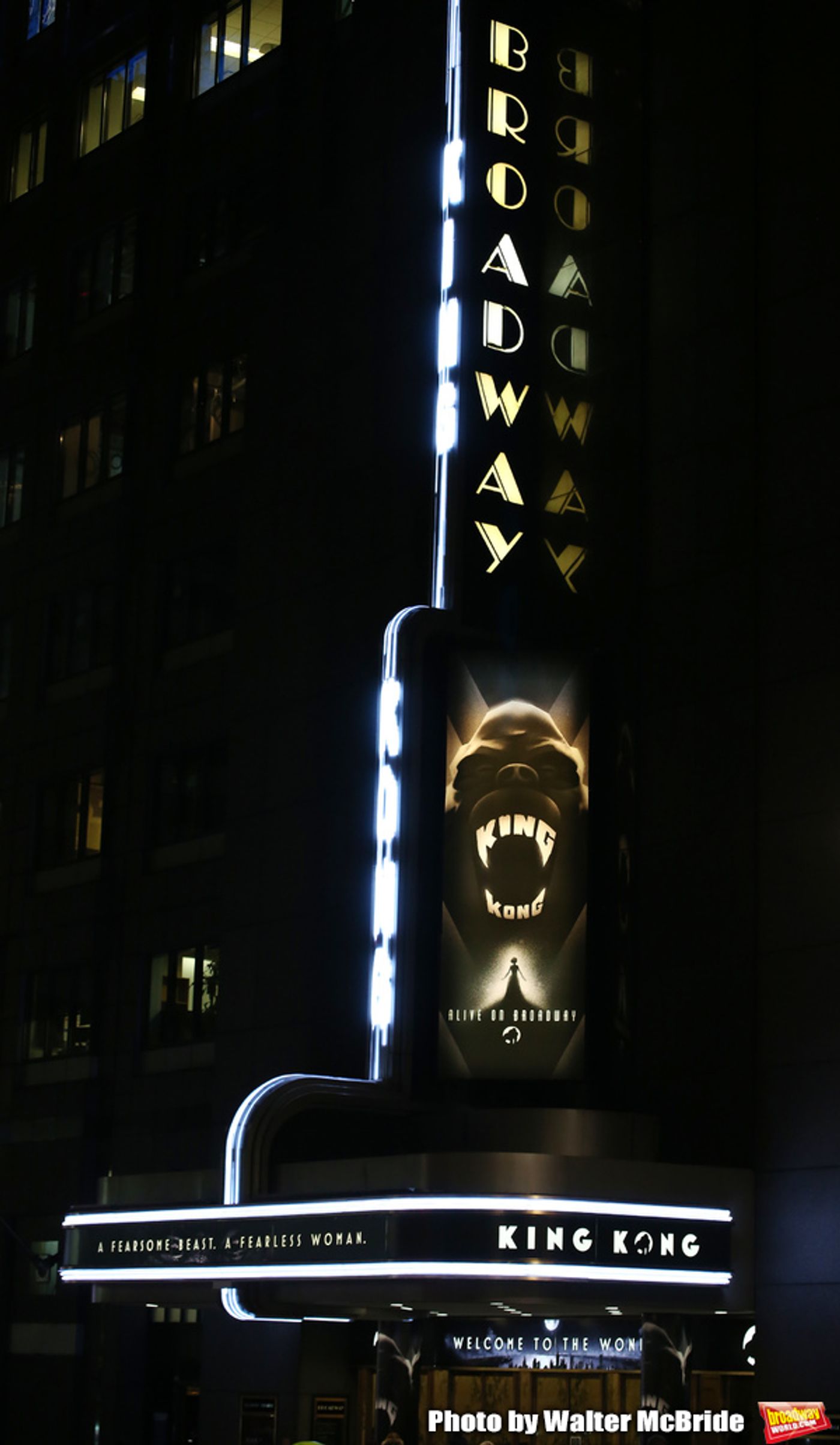 Photo Coverage: The Cast of KING KONG Takes Their Opening Night Bows  Image