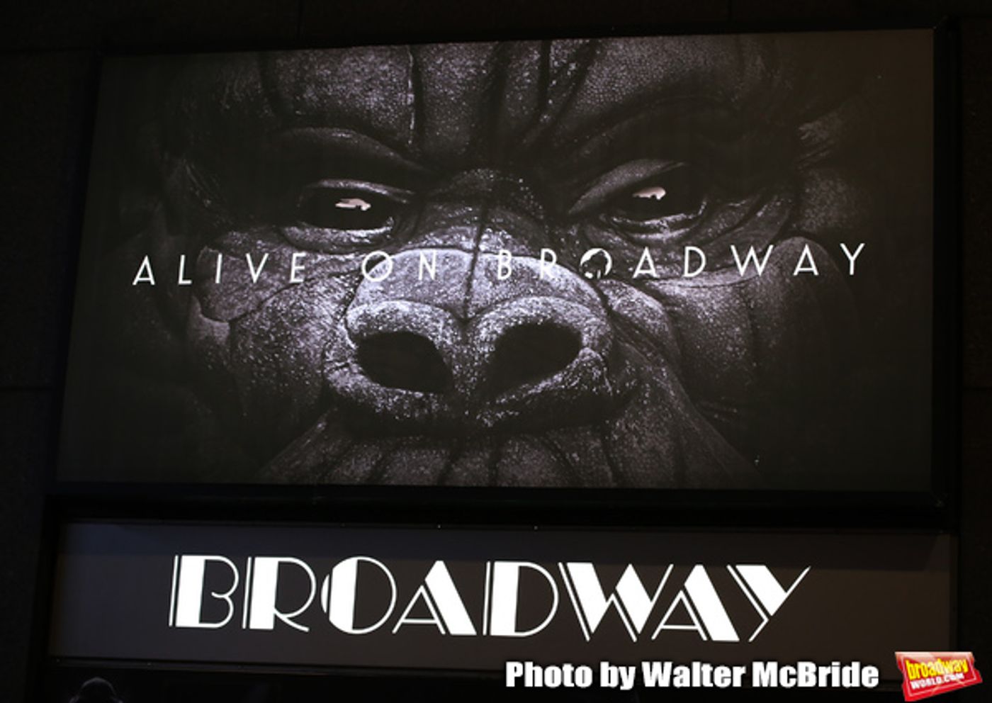 Photo Coverage: The Cast of KING KONG Takes Their Opening Night Bows  Image