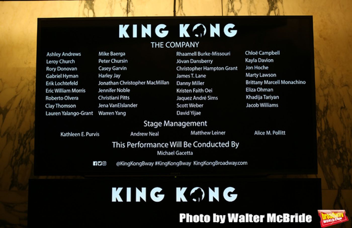 Photo Coverage: The Cast of KING KONG Takes Their Opening Night Bows  Image