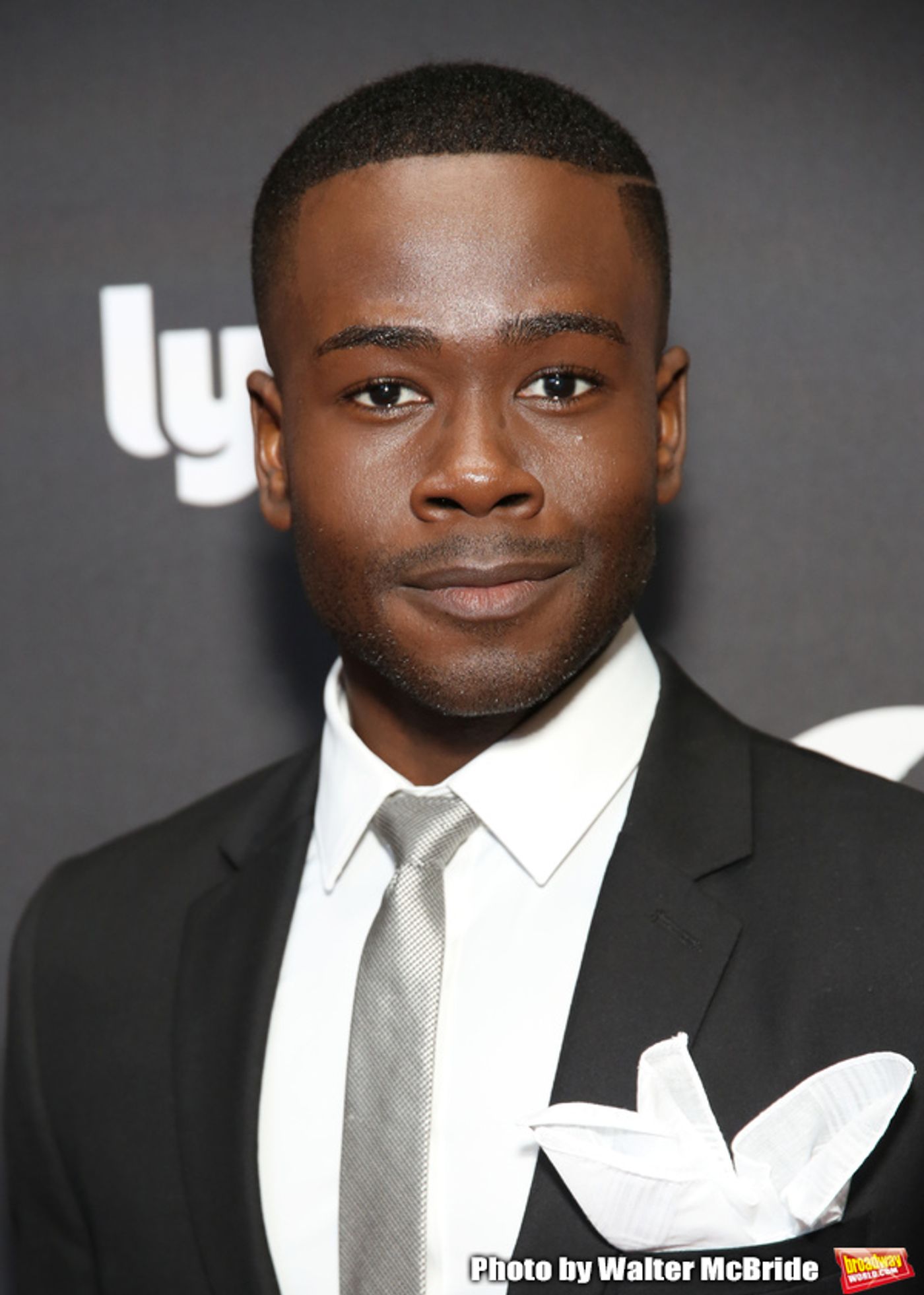 Photo Coverage: On the Red Carpet at Opening Night of KING KONG  Image