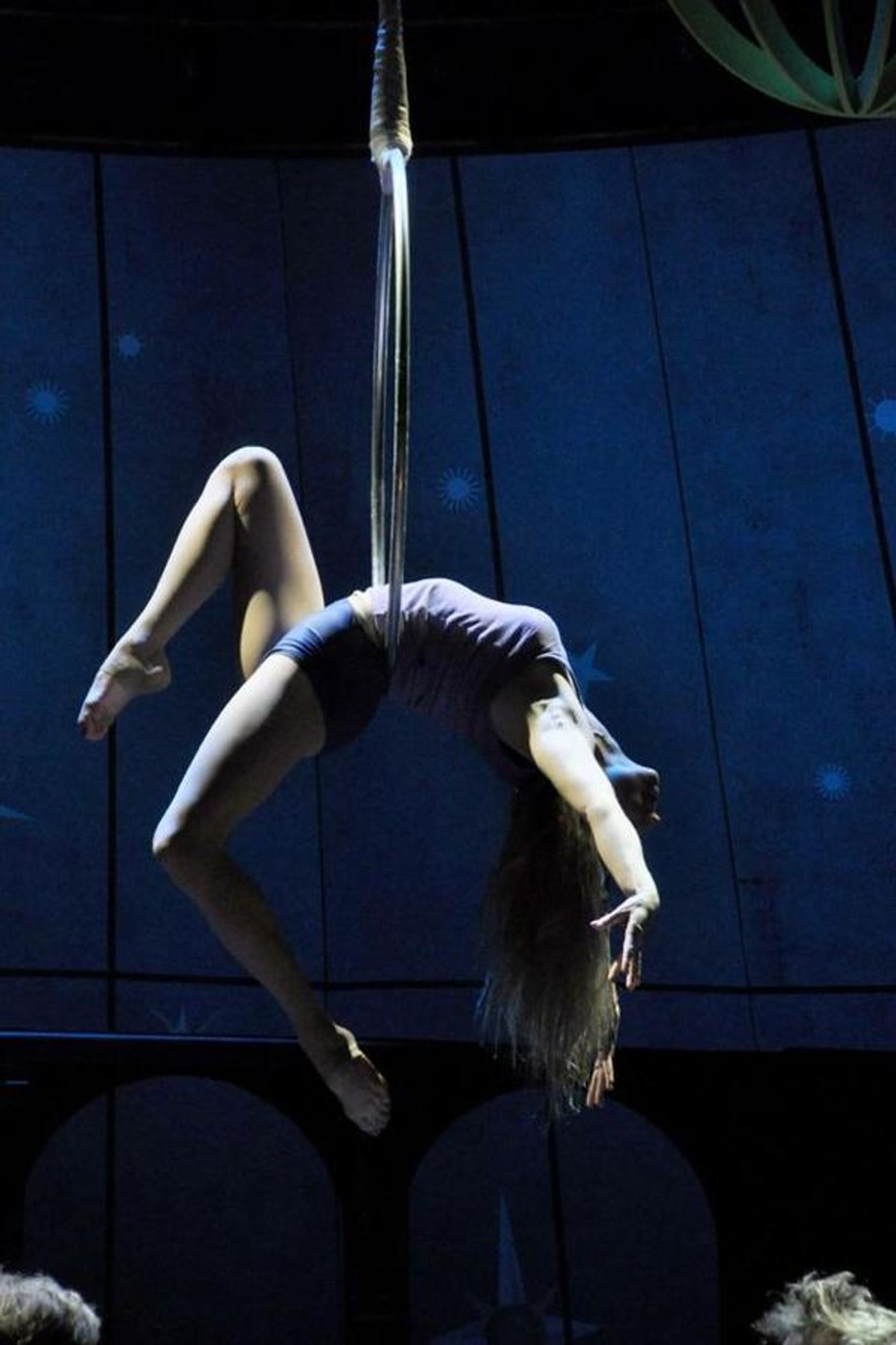 Exclusive: 10 ExtraOrdinary Days of A.R.T. - A Look Back On PIPPIN With Patina Miller, Andrea Martin, Matthew James Thomas, and More!  Image