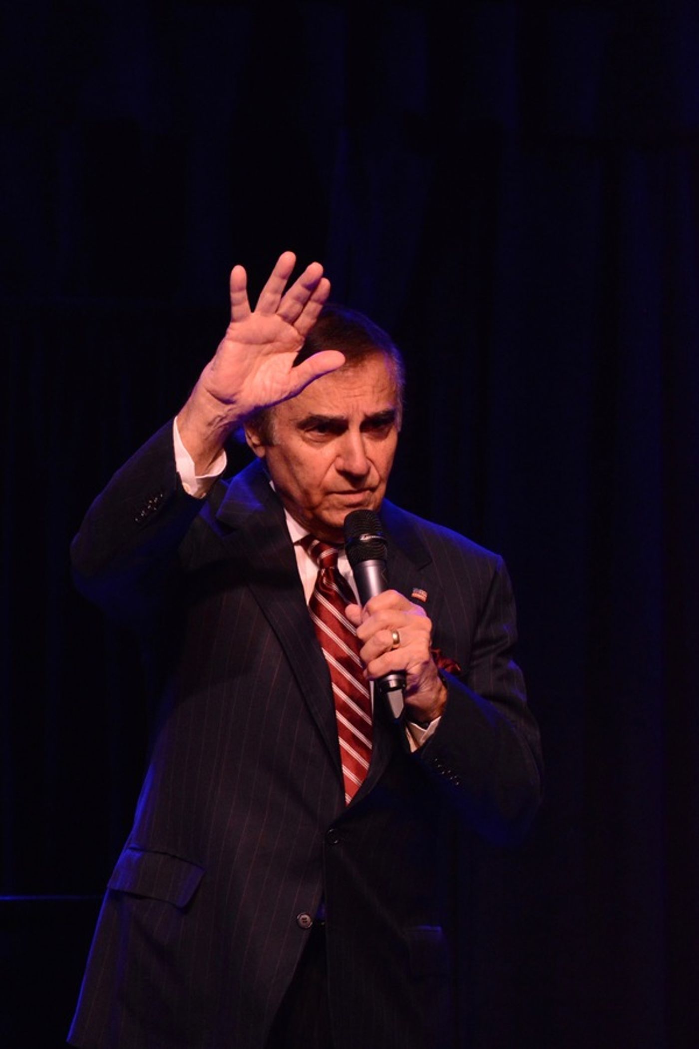 Photo Coverage: GALAXY OF STARS Celebrates Veterans at The Triad  Image