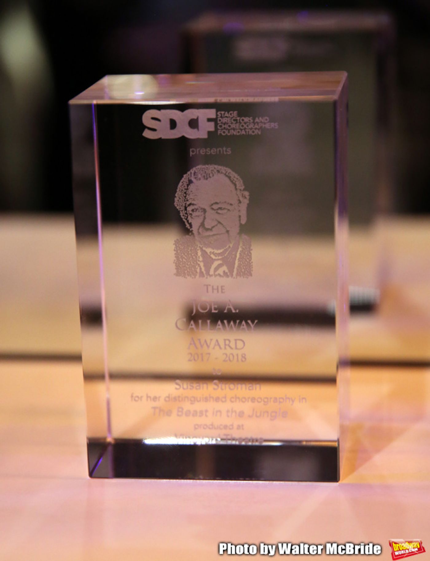 Photo Coverage: Inside the Cocktail Party at the Second Annual SDCF Awards  Image
