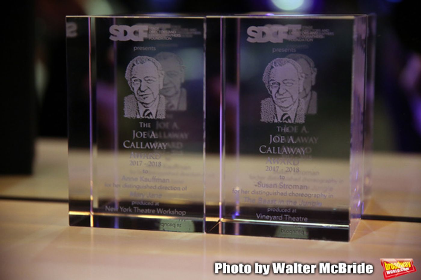 Photo Coverage: Inside the Cocktail Party at the Second Annual SDCF Awards  Image