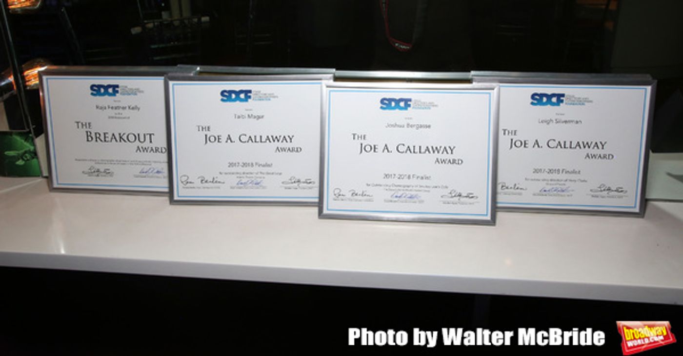 Photo Coverage: Inside the Cocktail Party at the Second Annual SDCF Awards  Image