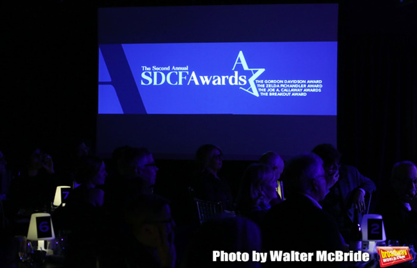 Photo Coverage: Susan Stroman, Anne Kauffman, and More Win SDCF Awards!  Image
