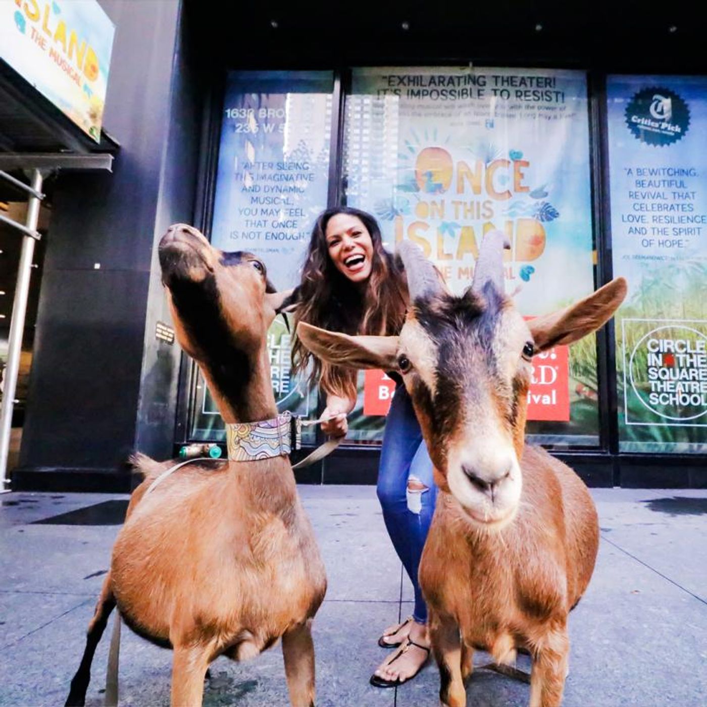 A Purrrfect Pair! BroadwayWorld Will Partner With PETS OF BROADWAY  Image