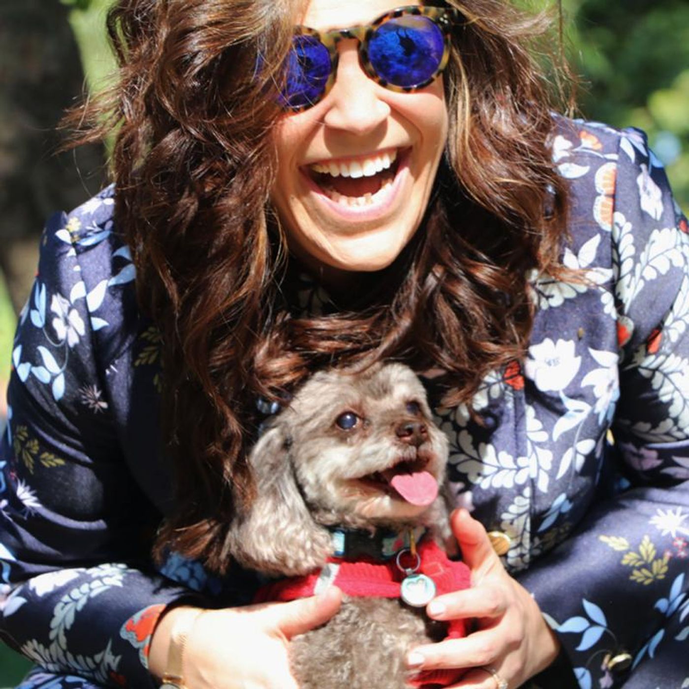 A Purrrfect Pair! BroadwayWorld Will Partner With PETS OF BROADWAY  Image