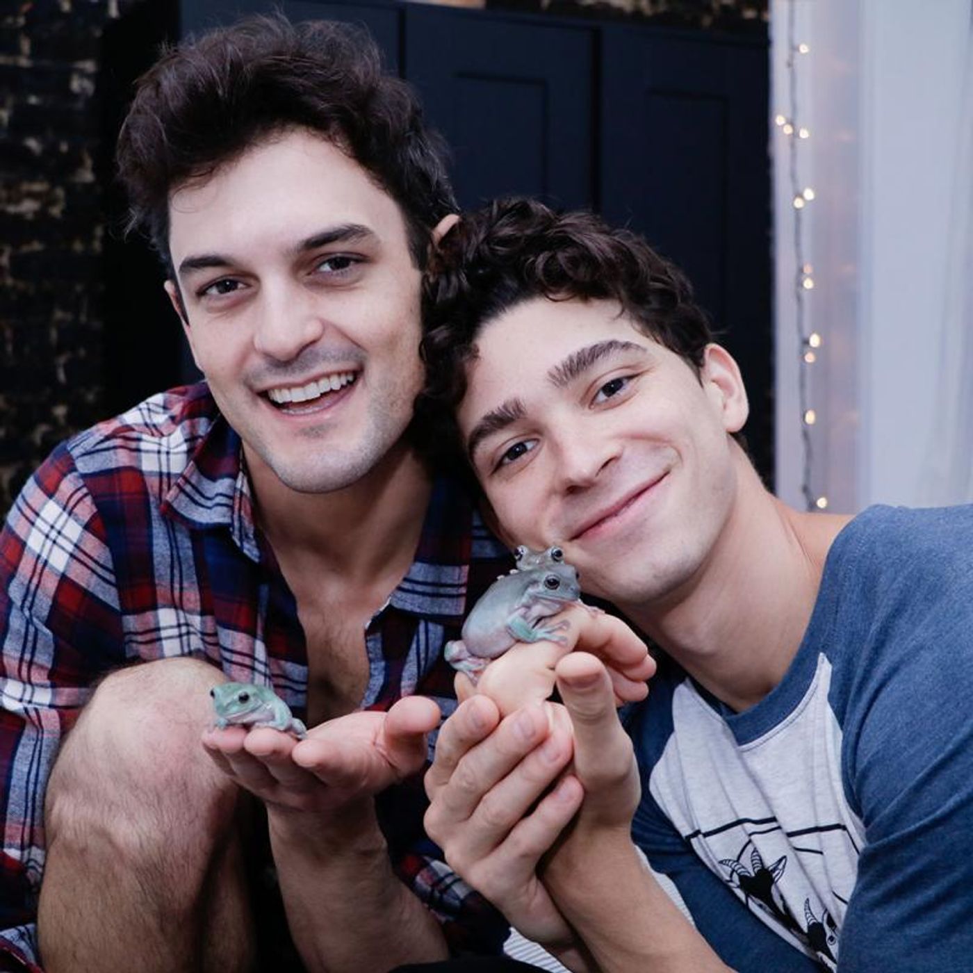 A Purrrfect Pair! BroadwayWorld Will Partner With PETS OF BROADWAY  Image