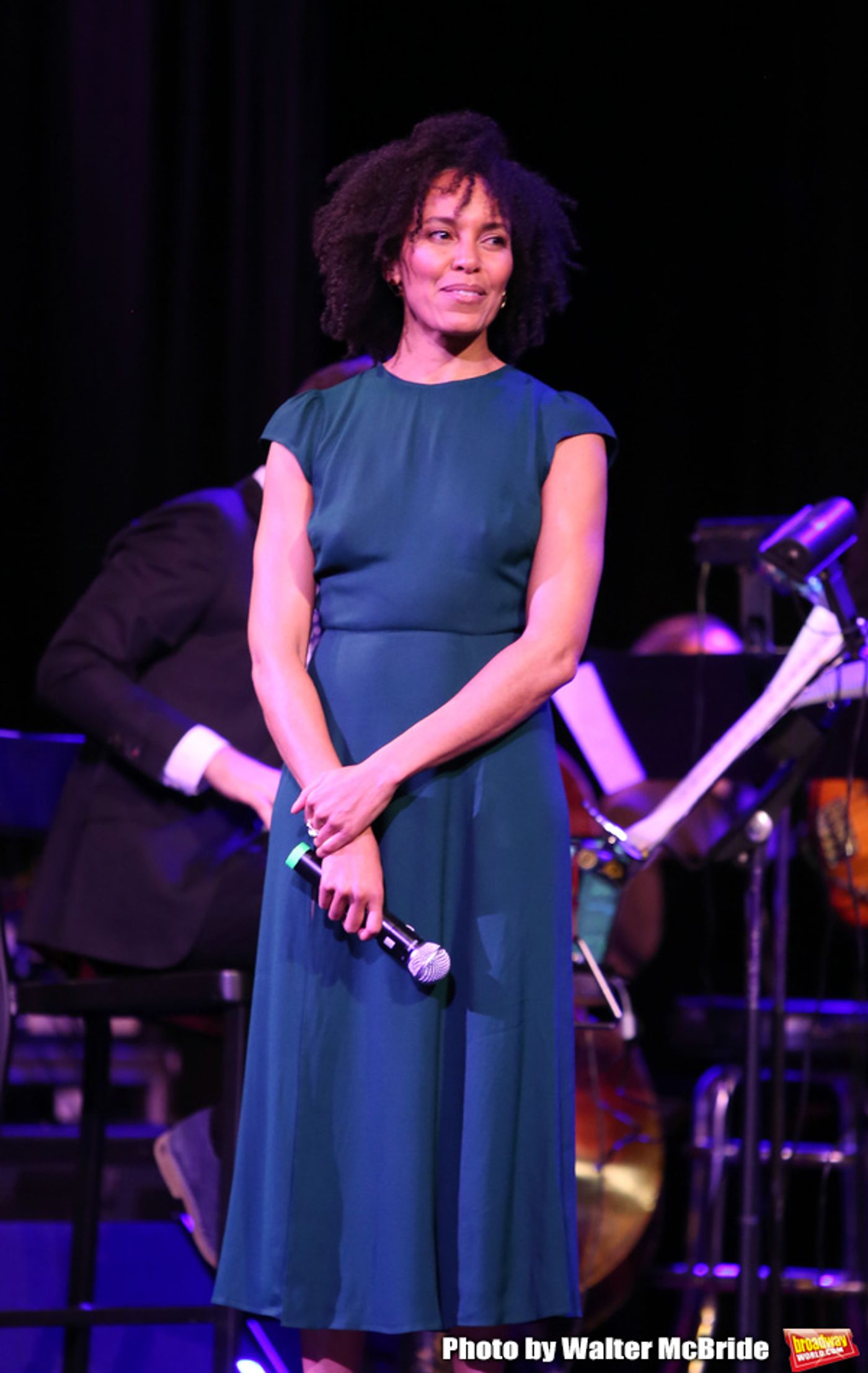 Photo Coverage: Kate Baldwin, Alan Cumming & More Honor Sheldon Harnick at the DGF Gala  Image