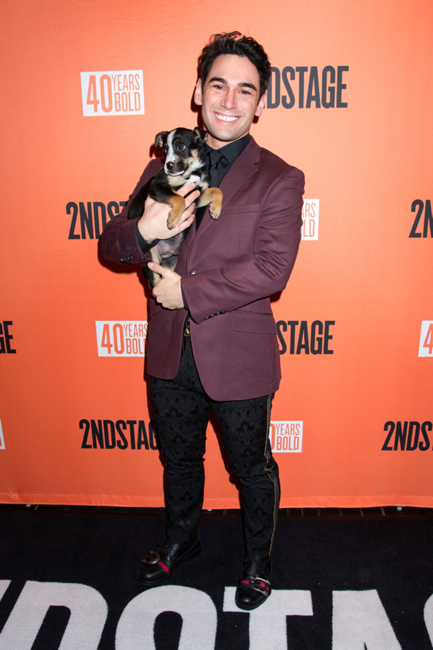 Photo Coverage: Broadway Snuggles Up with Puppies at Second Stage Benefit, Honoring Harvey Fierstein!  Image