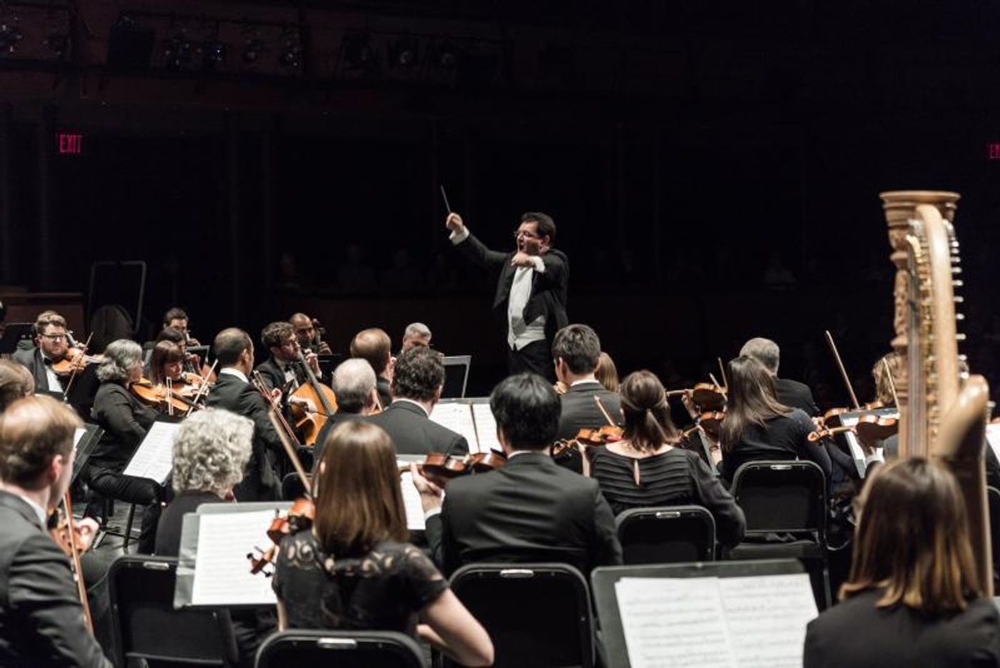Review:  THE PARK AVENUE CHAMBER SYMPHONY PERFORMS ROSENHAUS, WEBER AND DVORAK  Image
