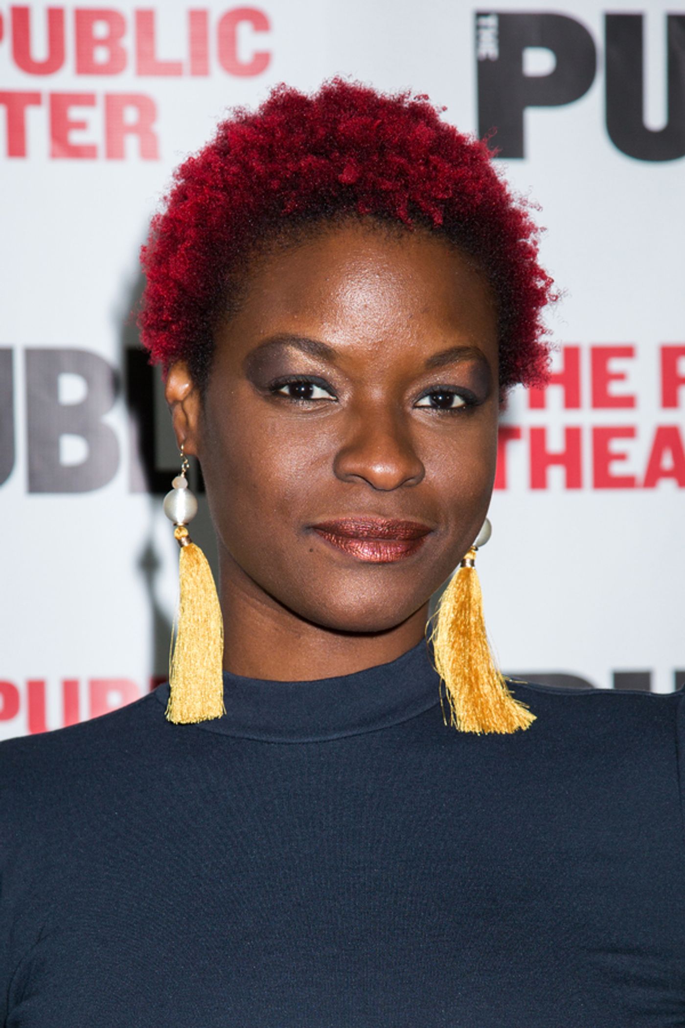 Photo Coverage: Inside Opening Night of The Public's WILD GOOSE DREAMS  Image