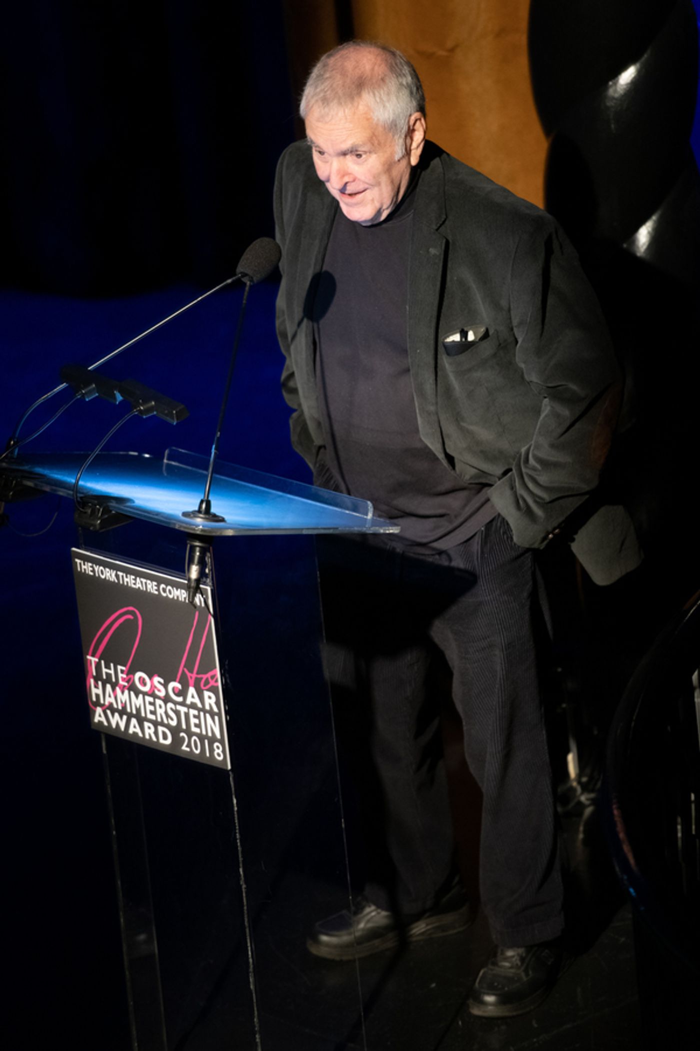 Photo Flash: Susan Stroman Receives the 2018 Oscar Hammerstein Award  Image