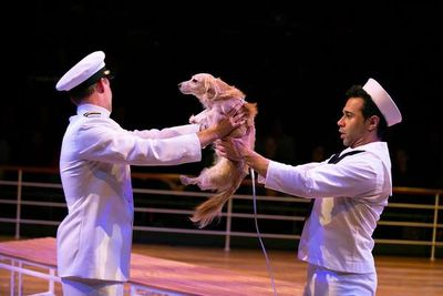 Ben Gunderson, Olly and Corbin Bleu in "Anything Goes."
 Photo