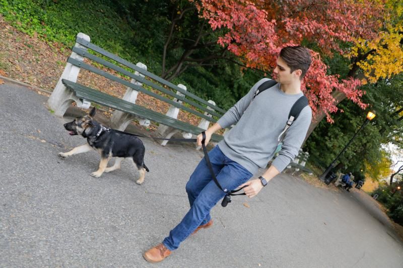 Pets Of Broadway: Meet Caroline Bowman & Austin Colby's newest family member, Kodak!  Image