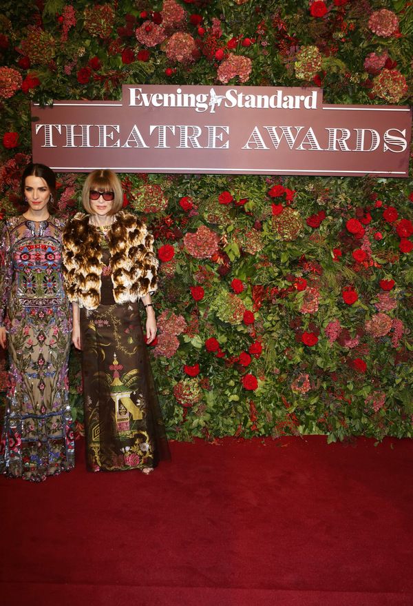 Photo Flash: On the Red Carpet at the 2018 Evening Standard Awards  Image