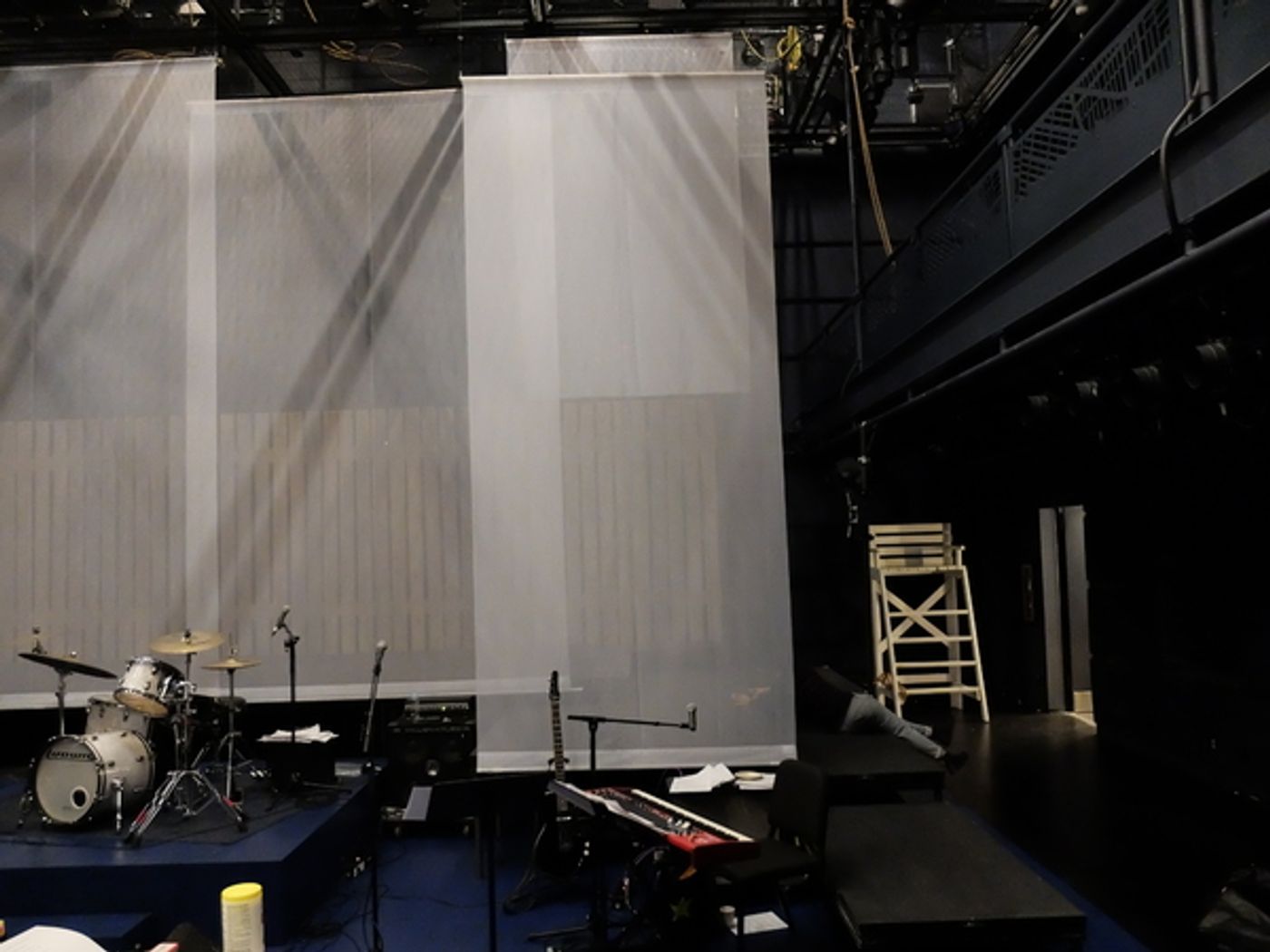 BWW Previews: THE GOOD SWIMMER World Premiere at BAM Fishman Space  Image