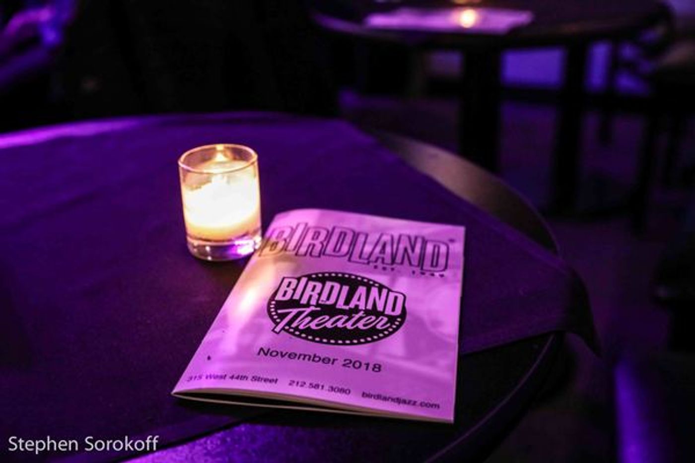 Photo Coverage: Deborah Grace Winer Brings 'New York: Big City Songbook' To Birdland Theater  Image