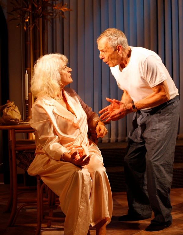 Diana Quick, Ian Gelder Photo