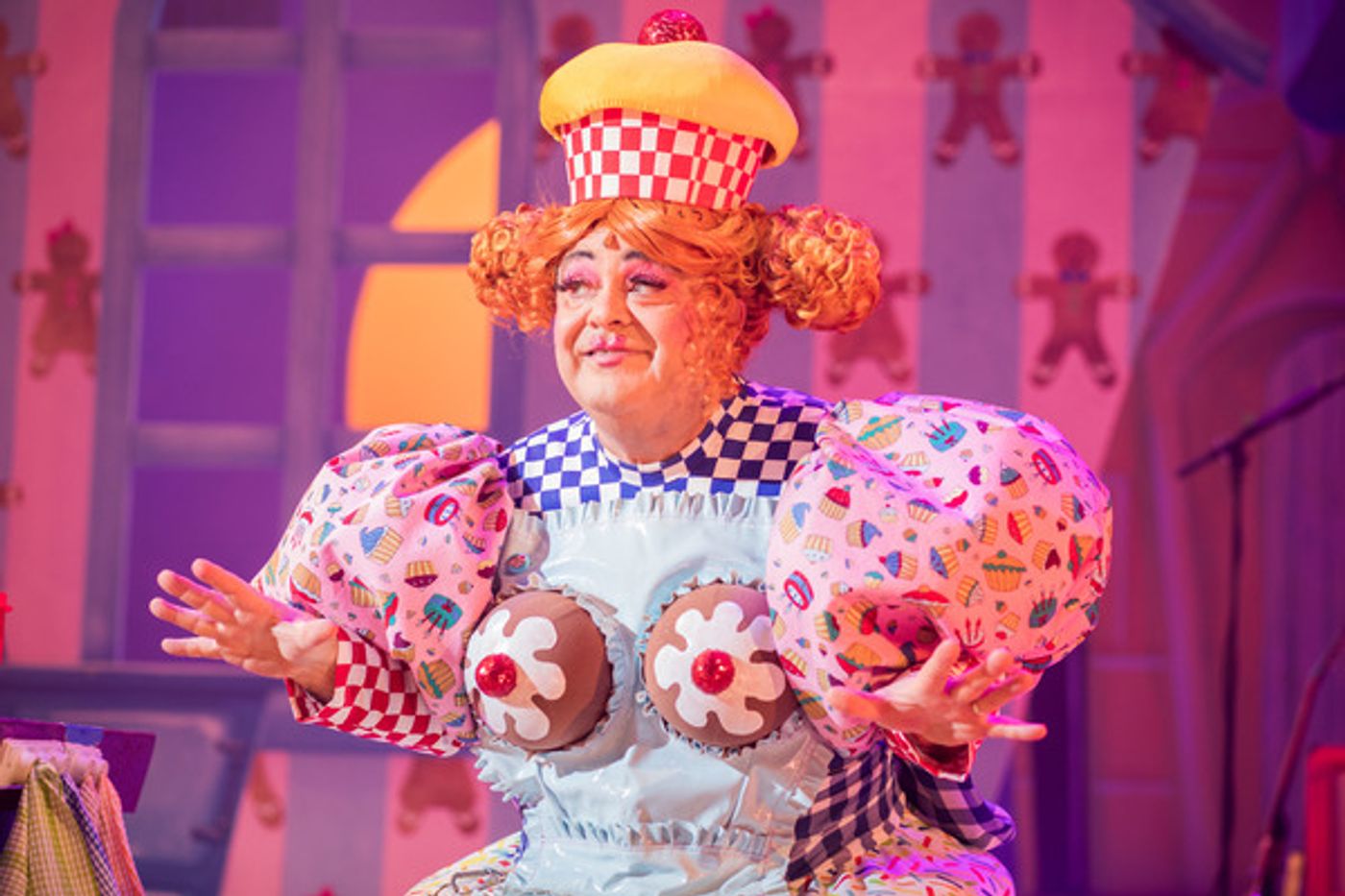 Photo Flash: Theatr Clwyd Presents Christmas Panto DICK WHITTINGTON  Image