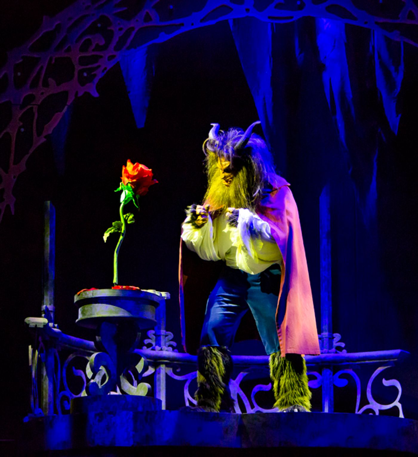 Photo Flash: Disney's BEAUTY AND THE BEAST at the Maltz Jupiter Theatre Photo Flash: Disney's BEAUTY AND THE BEAST at the Maltz Jupiter Theatre Image