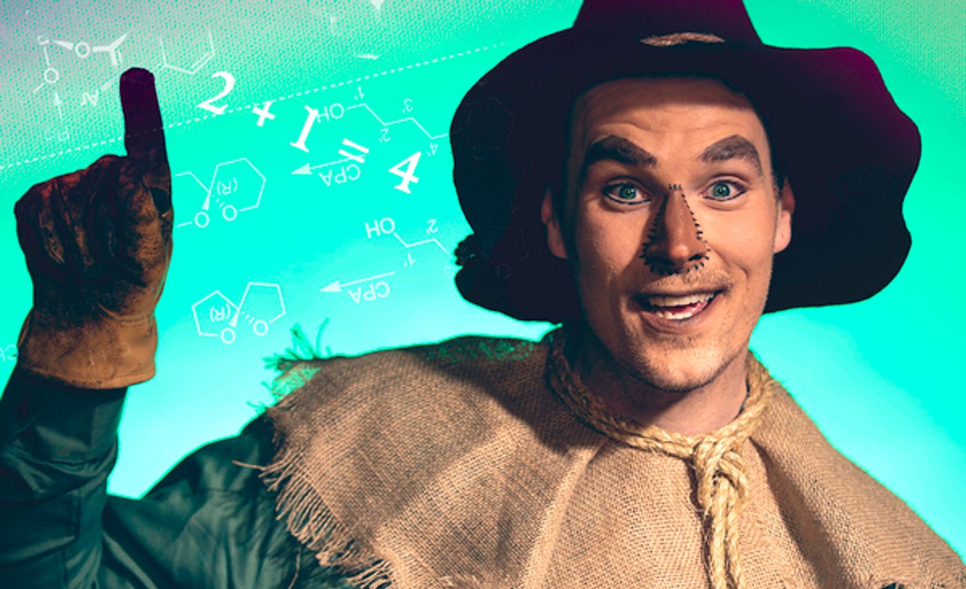 Photo Flash: Bainbridge Performing Arts Presents THE WIZARD OF OZ Photo Flash: Bainbridge Performing Arts Presents THE WIZARD OF OZ Image