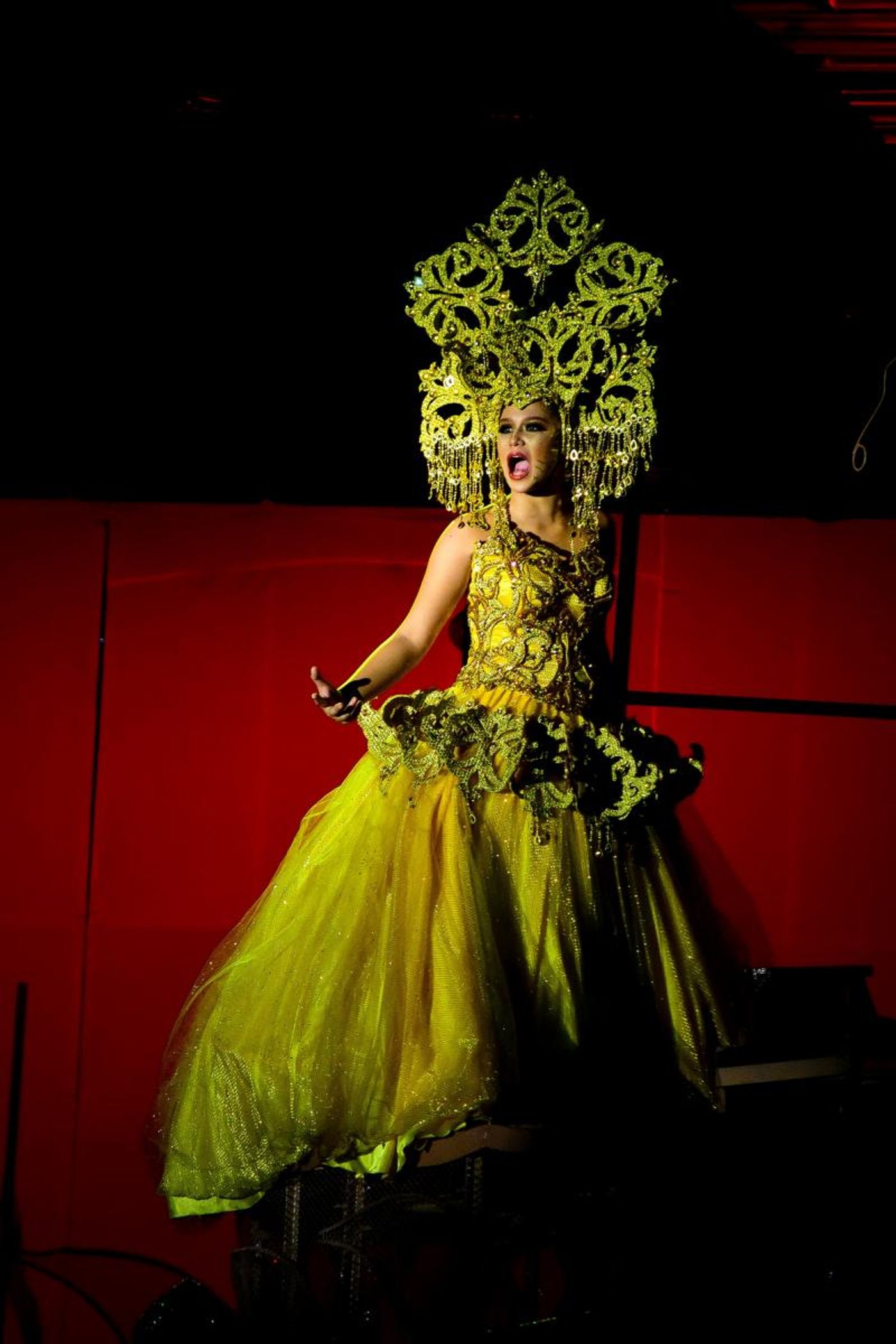 Photos: Take A First Look at the World Premiere of NIA AND ANWAR AND THE WHALE SHARK TALE  Image