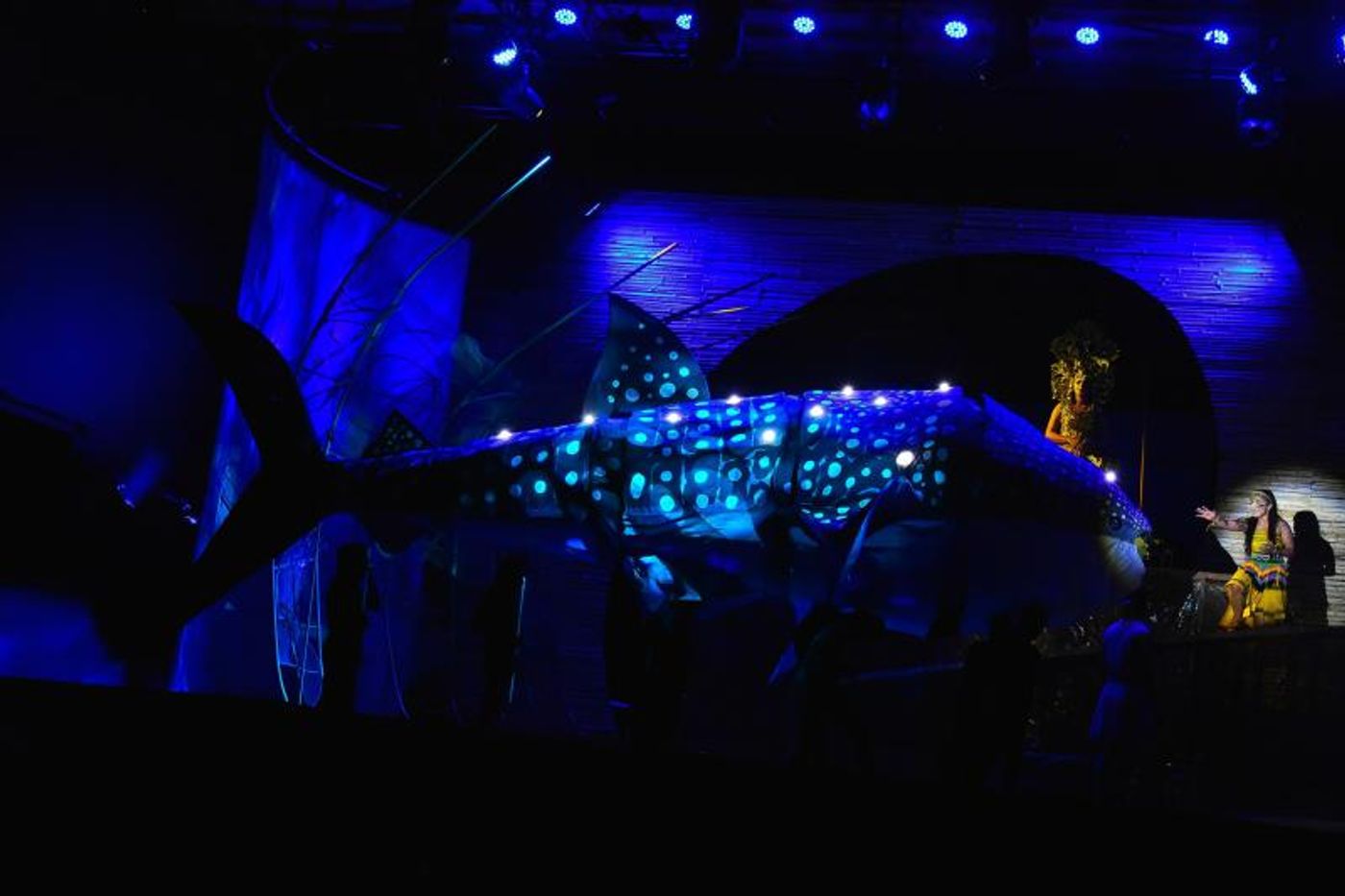 Photos: Take A First Look at the World Premiere of NIA AND ANWAR AND THE WHALE SHARK TALE  Image